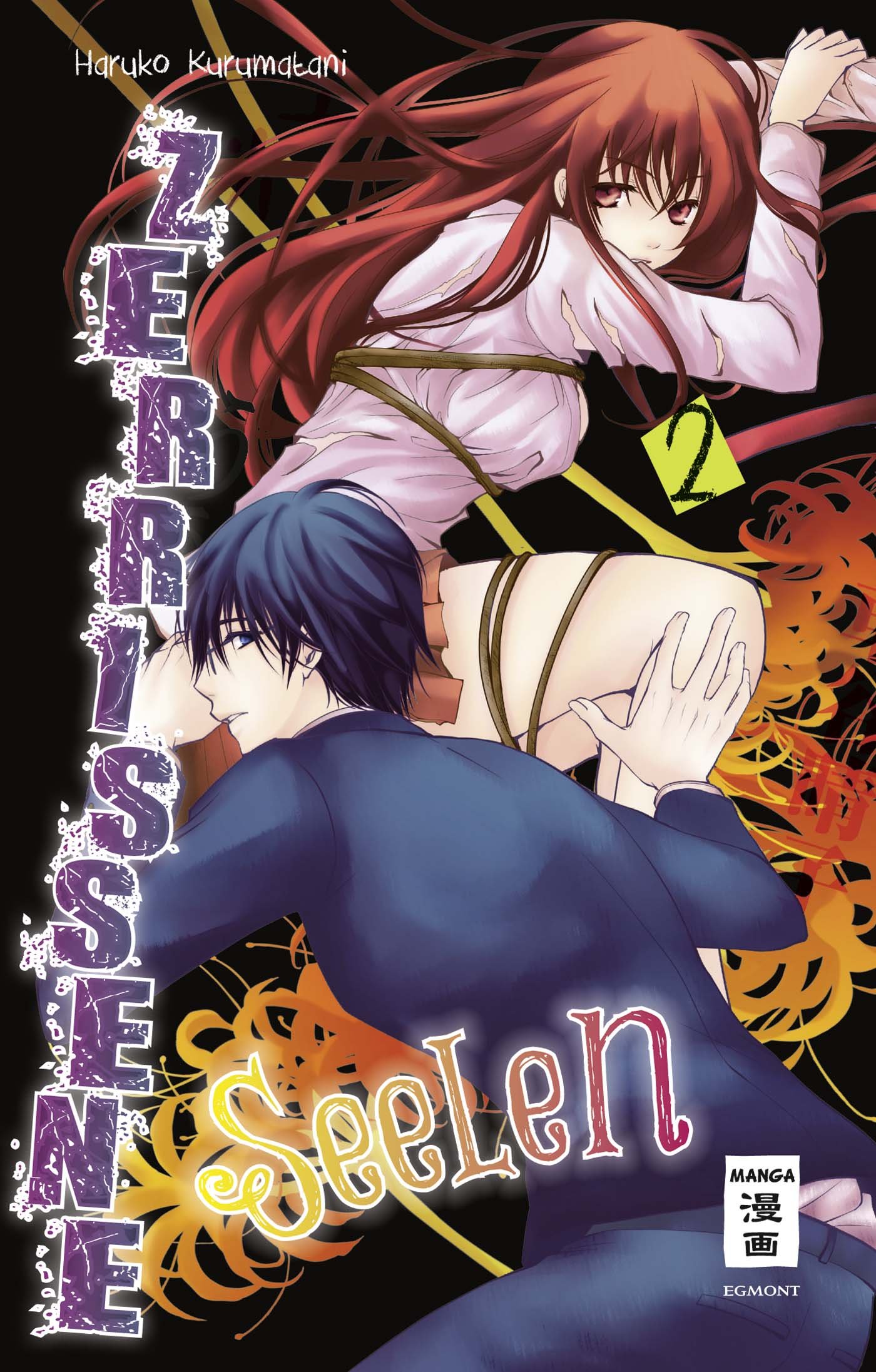 Zerrissene Seelen - Band 2