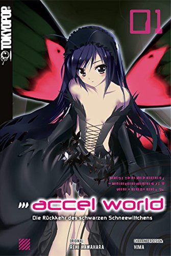 Accel World (Novel)