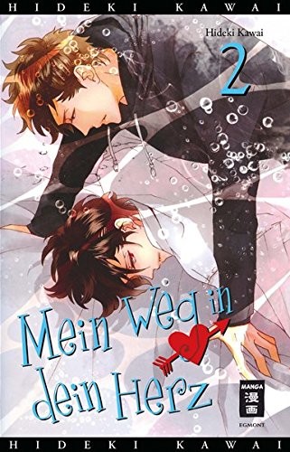 Mein Weg in dein Herz - Band 2(Abschlussband)