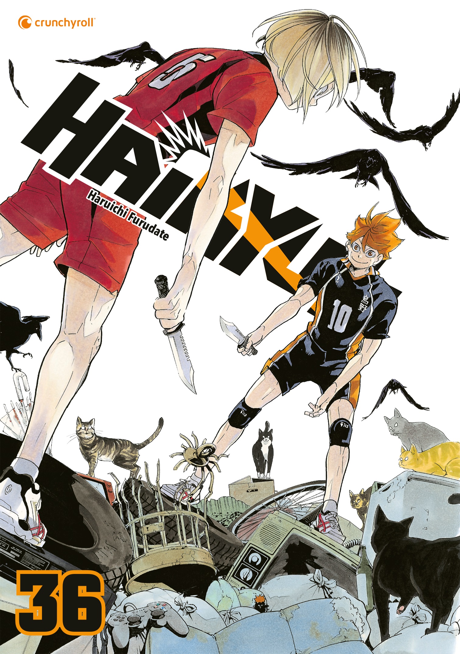 Haikyu!! - Band 36