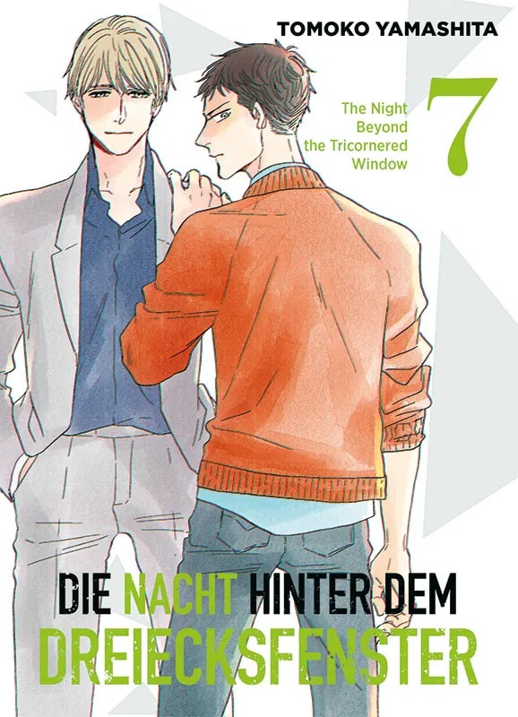Die Nacht hinter dem Dreiecksfenster - Band 7