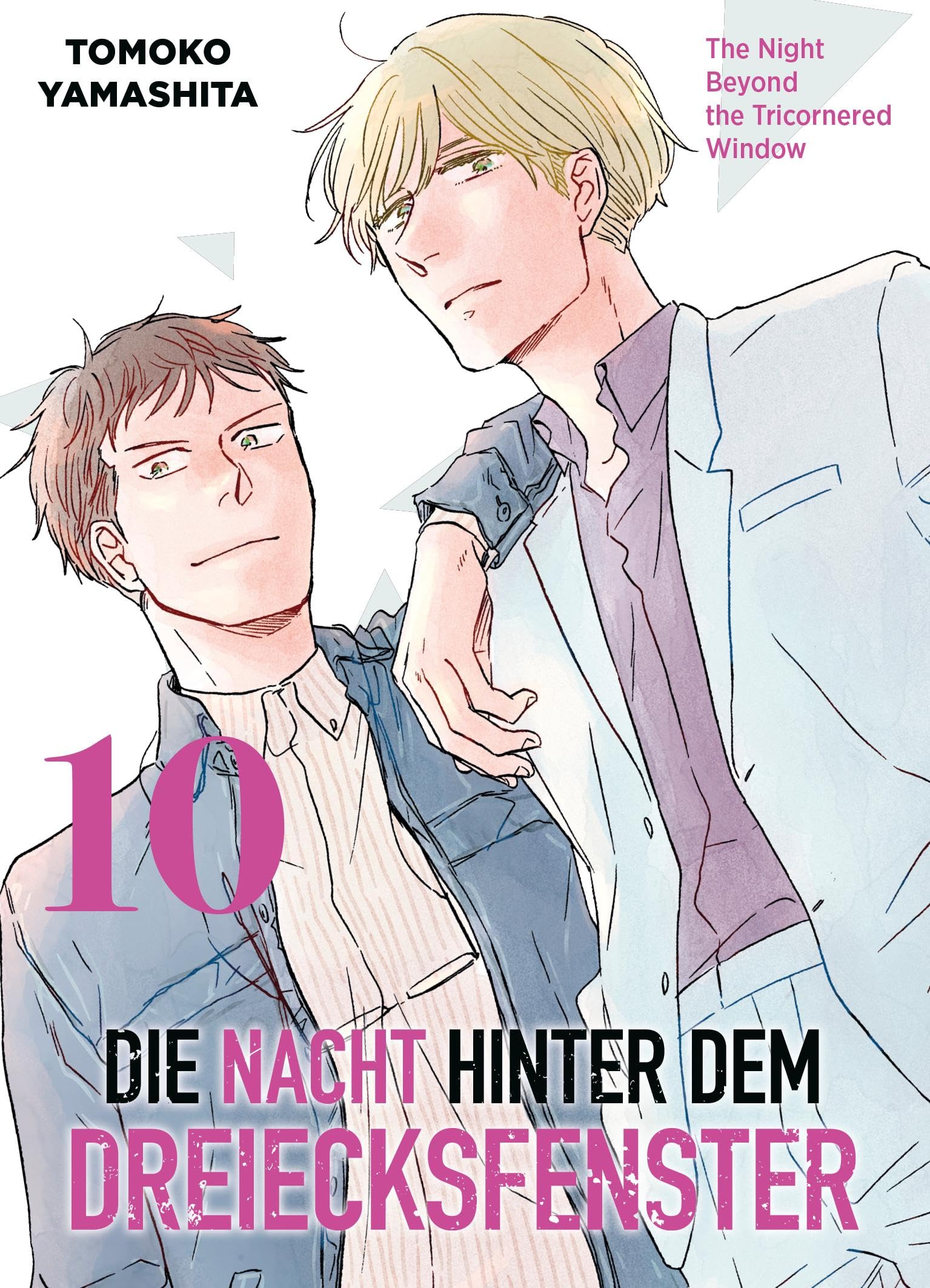 Die Nacht hinter dem Dreiecksfenster - Band 10(Abschlussband)