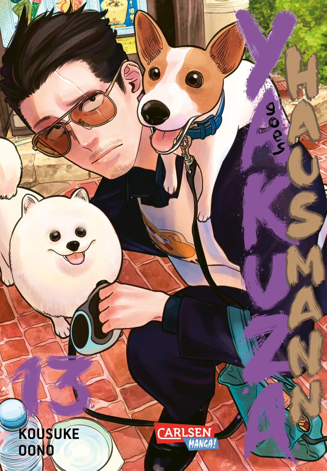 Yakuza goes Hausmann - Band 13