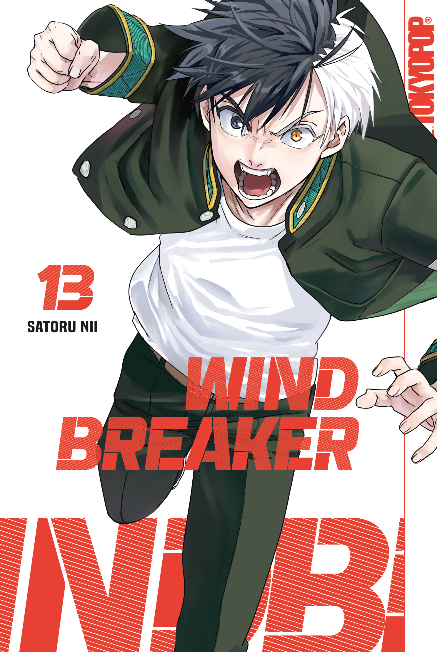 Wind Breaker - Band 13