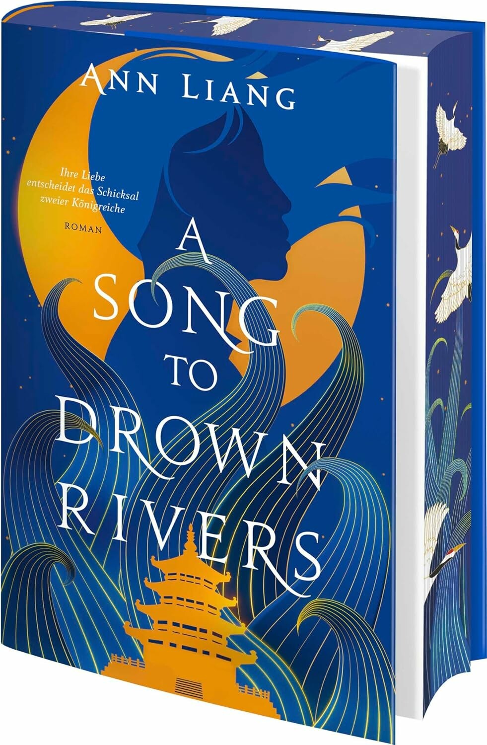 A Song to Drown Rivers (Novel)