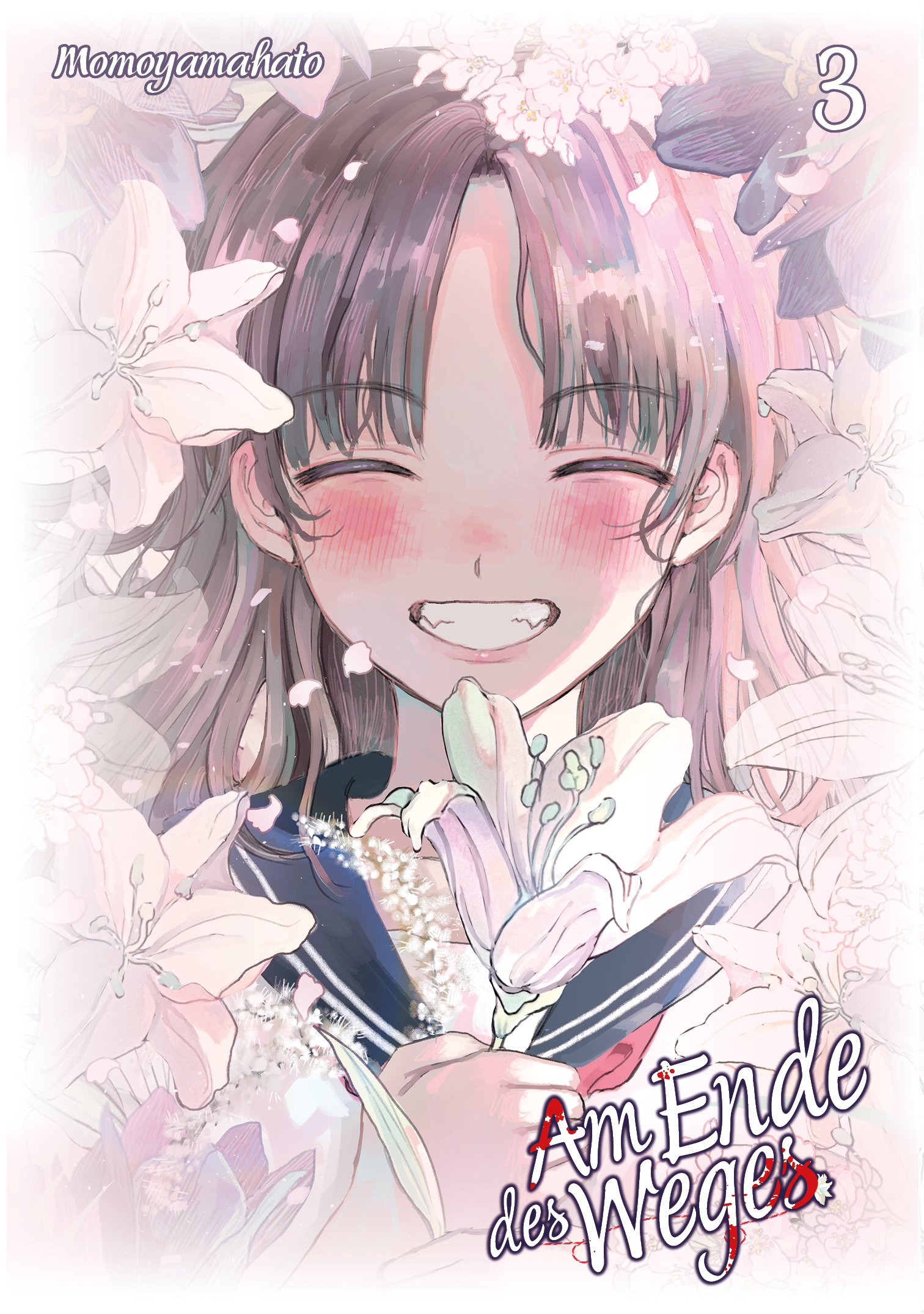 Am Ende des Weges - Band 3(Abschlussband)