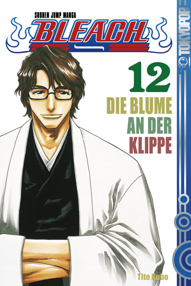 Bleach - Band 12