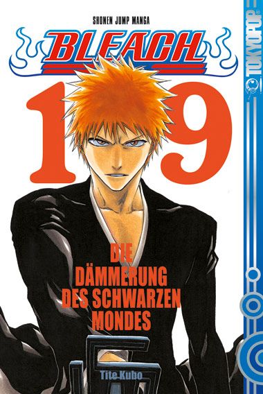 Bleach - Band 19
