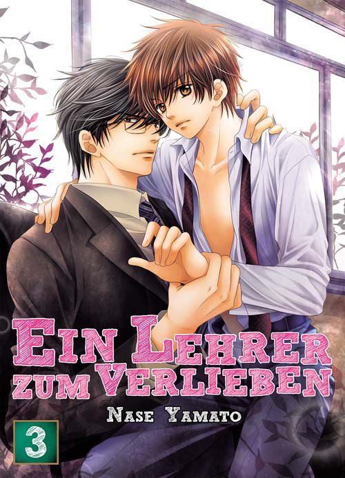 Ein Lehrer zum Verlieben - Band 3